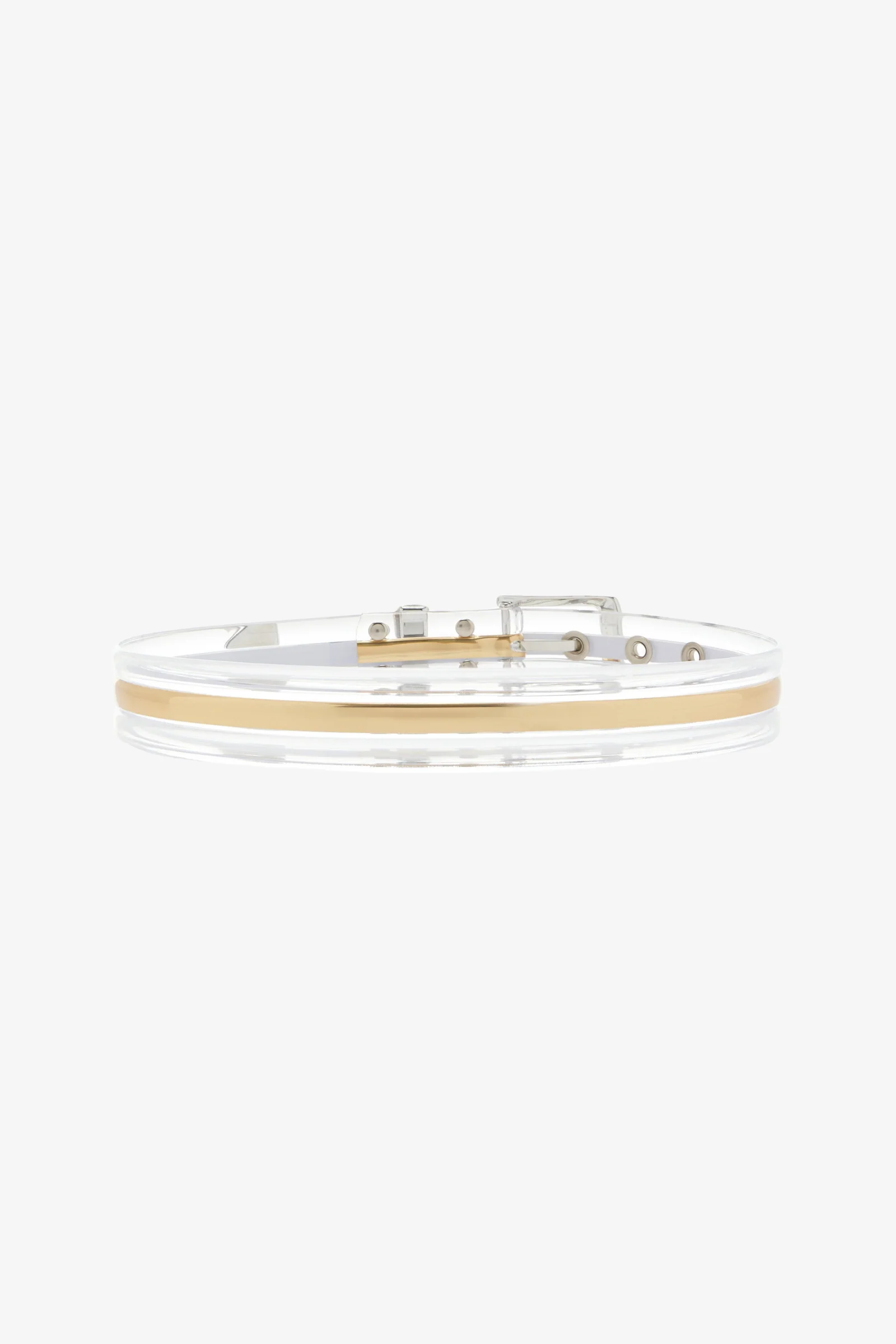 The Transluscent Belt in Gold - Image 2